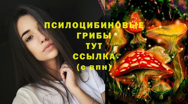 MESCALINE Абинск